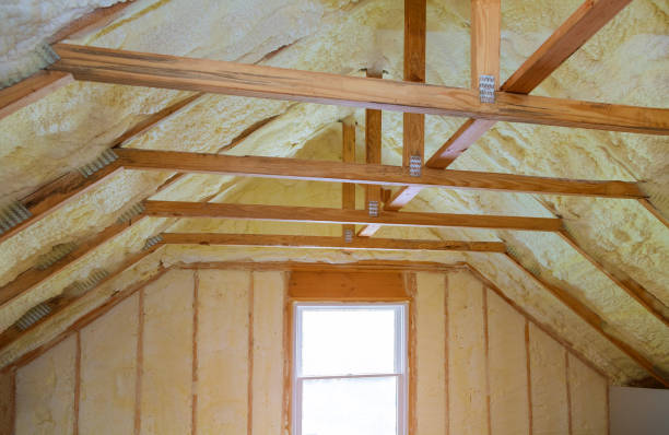 Garage Insulation Installation in Spring Valley, NV